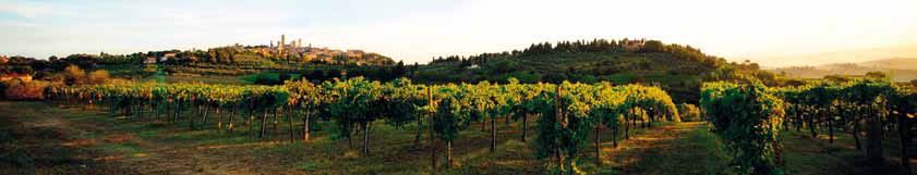 ANTEPRIMA VERNACCIA SAN GIMINIANO