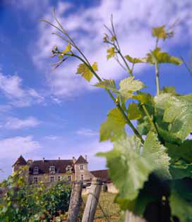 Borgogna, terra di grandi vini