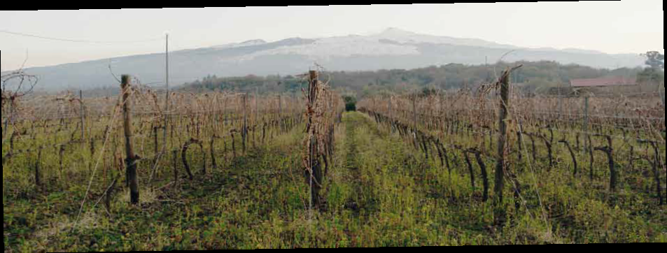 Best in Sicily e Taste Etna, due meritati successi