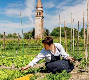 THE SURPRISING “VINEYARDS OF VENICE” AN OLD ROUTE TO THE FUTURE