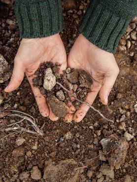 LA MIA BATTAGLIA A COLPI DI TERROIR