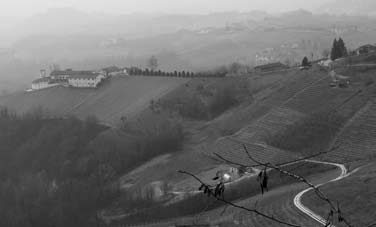 Podere Rocche dei Manzoni, il tempio del Barolo