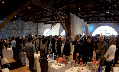 Anteprima Bardolino 2012: un successo