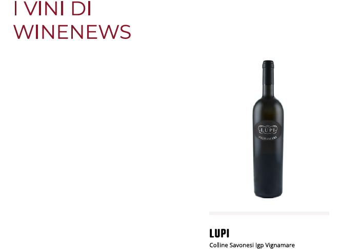 Lupi - Colline Savonesi Igp Vignamare