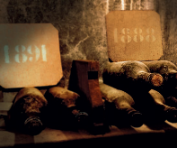 Alle radici del Brunello