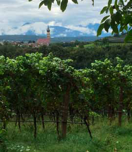 Alto Adige, un territorio da scoprire