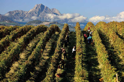 A Scoprire l’Abruzzo