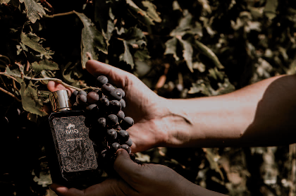 Gini Parfum: dal vino al profumo di nicchia - Se la volpe mette le ali