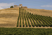 SICILIA. Una panoramica enoica