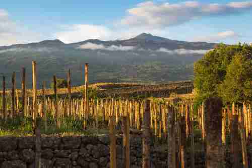 Il Mongibello e i suoi vini vulcanici
