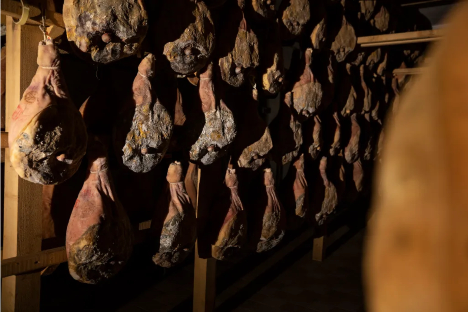 Bajta Fattoria Carsica, un microcosmo da visitare