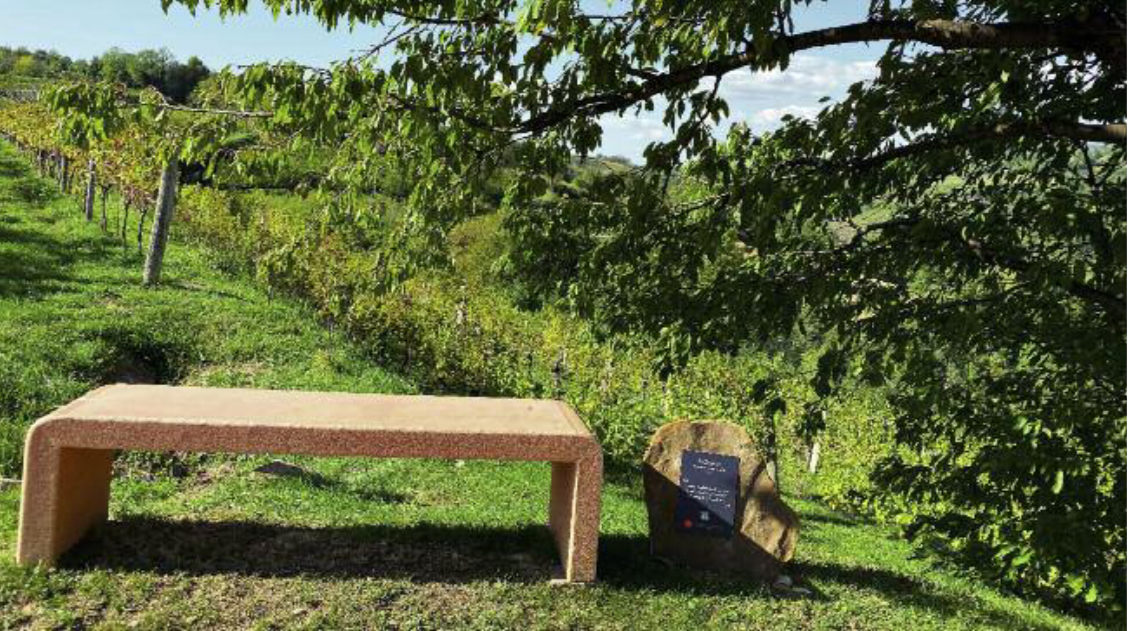 Oslavia, la Ribolla macerata e i “magnifici sette”