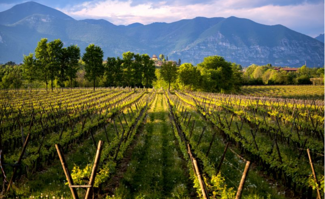 La Franciacorta: terra spumeggiante