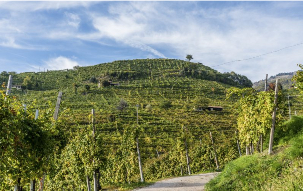 Valdobbiadene e dintorni: un tour tra vigneti, bellezze artistiche e divertimento