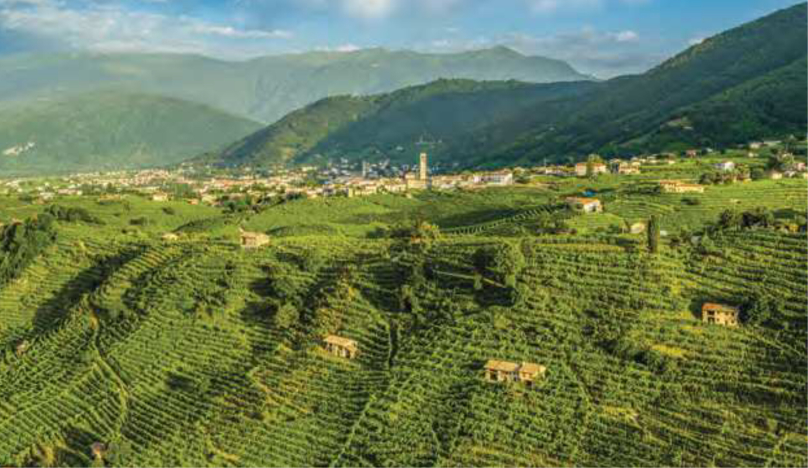 Cartizze, il Grand Cru del Conegliano Valdobbiadene