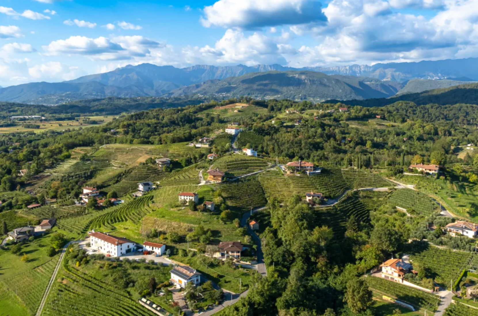 Il dado è tratto: sei facce di Savorgnano del Torre per la prossima sottozona del Friuli Colli Orientali