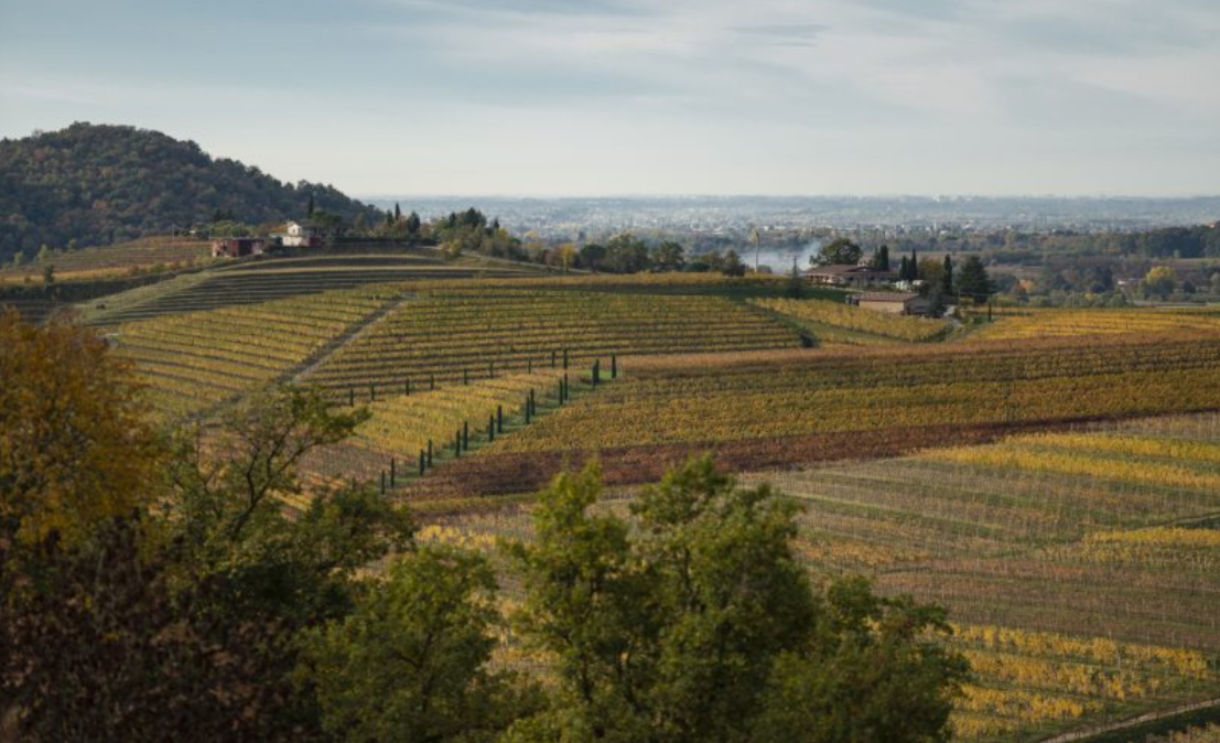 In visita alla parte est del Friuli Venezia Giulia: i Colli Orientali – Parte 2