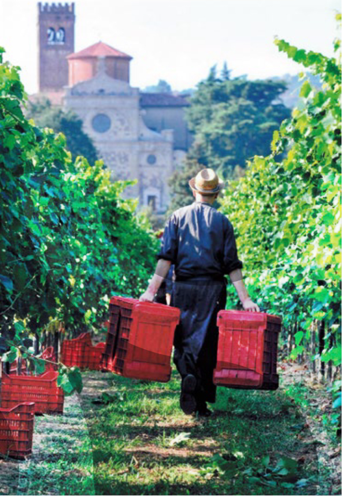 Un viaggio tra i vini prodotti in abbazie e monasteri