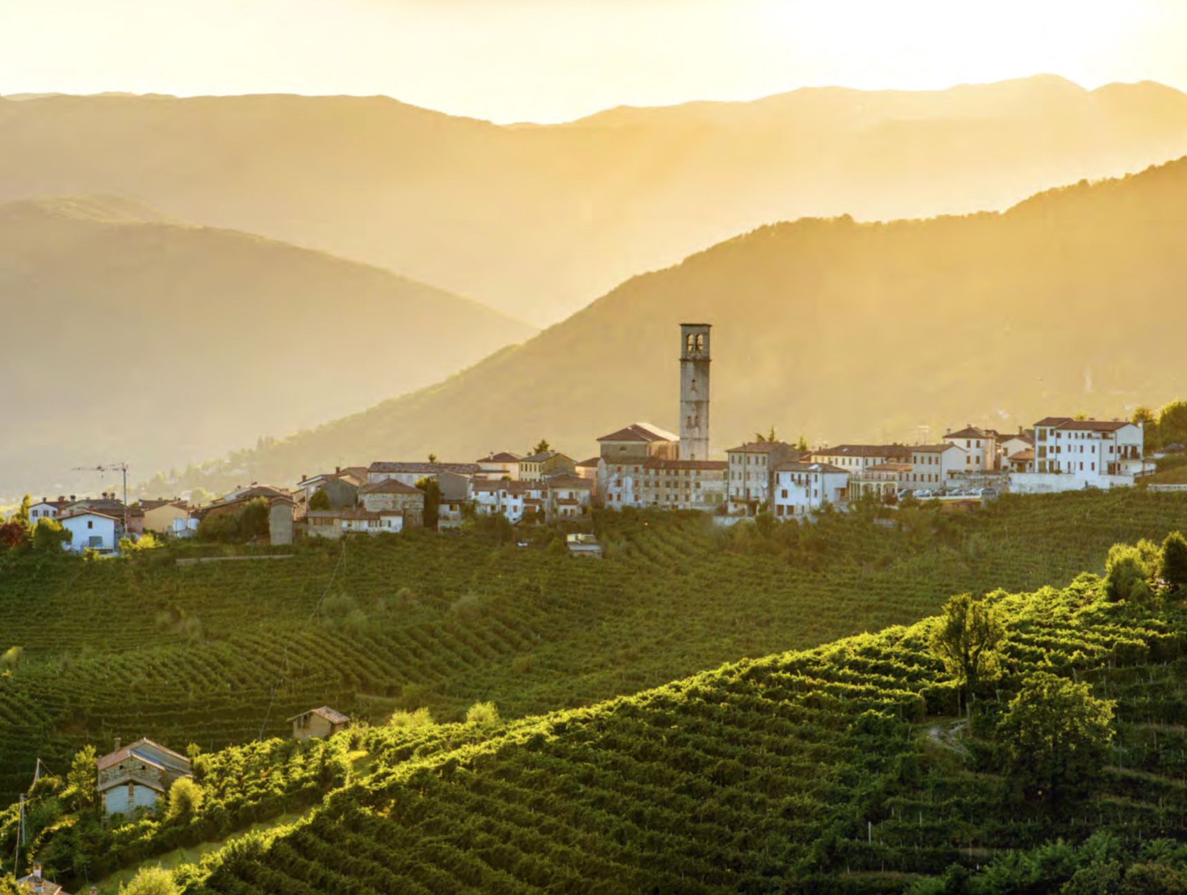 Veneto, un complesso affresco del vino: colori, paesaggi e stili diversi