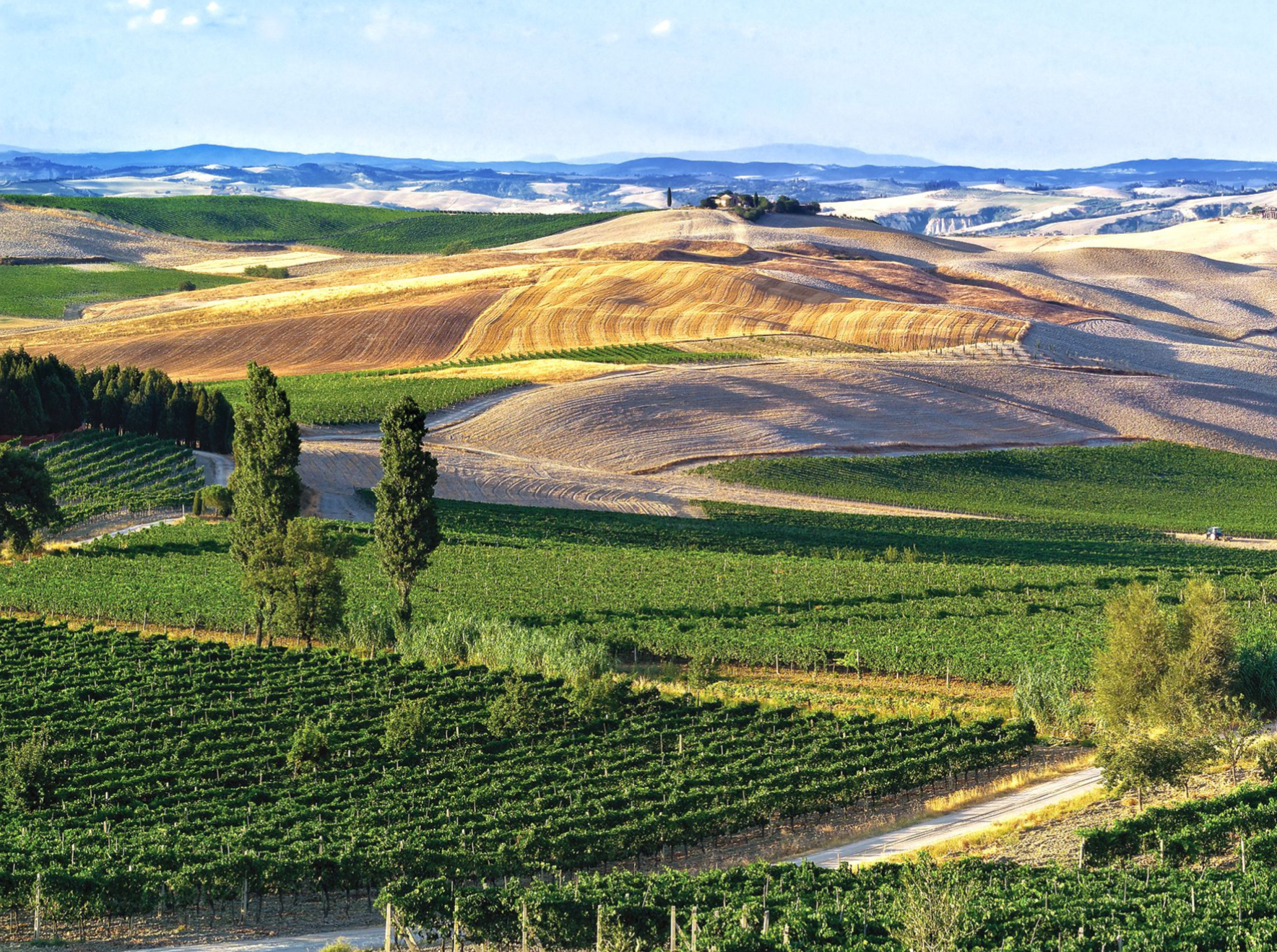 Toscana: regione simbolo dell’Italia del vino