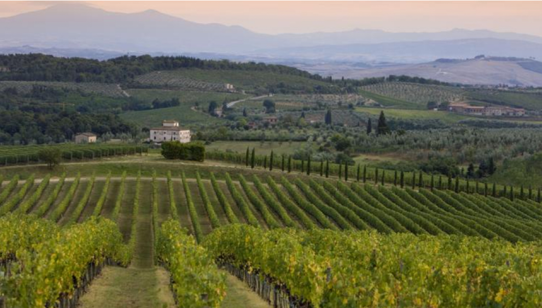Toscana: regione simbolo dell’Italia del vino