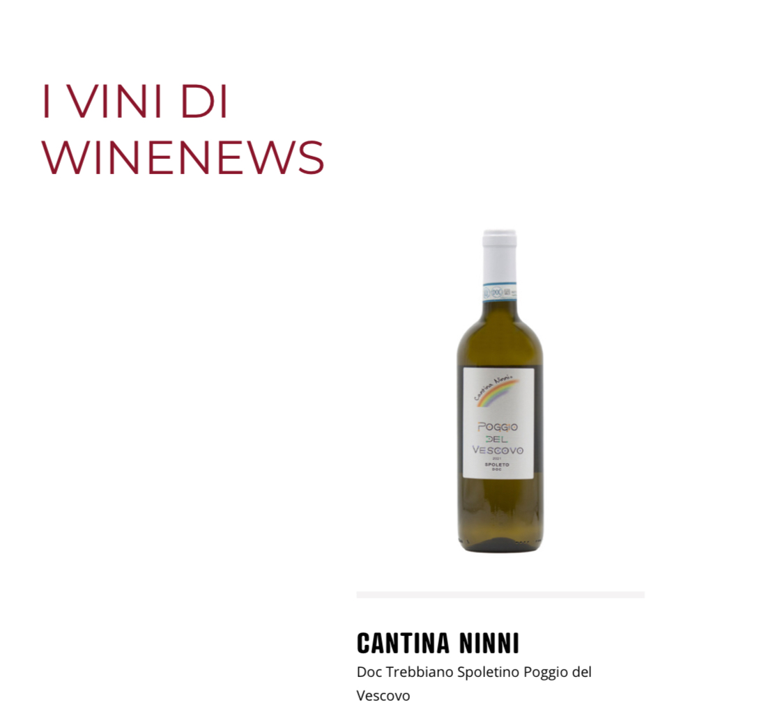 Cantina Ninni - Doc Trebbiano Spoletino Poggio del Vescovo