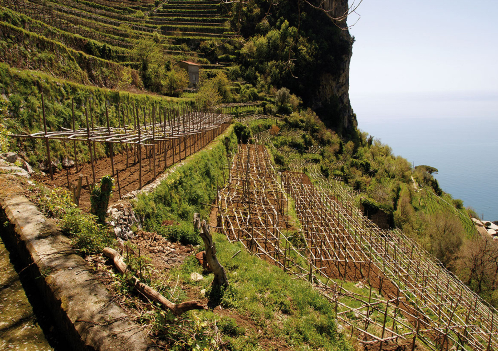 Unica e impareggiabile Campania