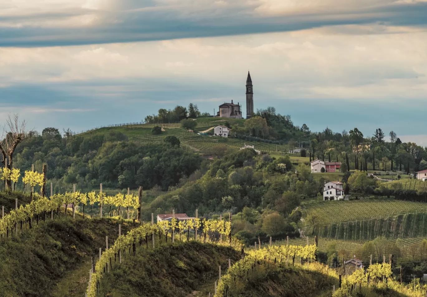 Conegliano Valdobbiadene, valori condivisi e progetti