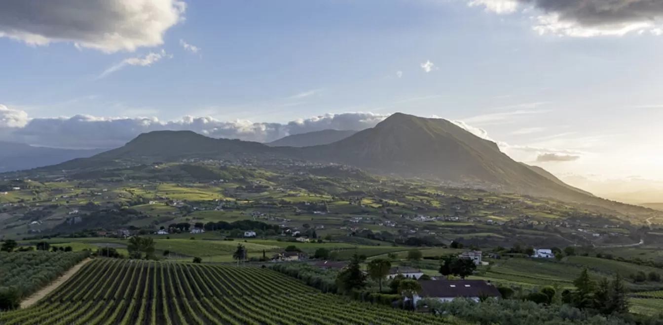 Il Sannio oggi: enoturismo, sostenibilità, export e premiumizzazione