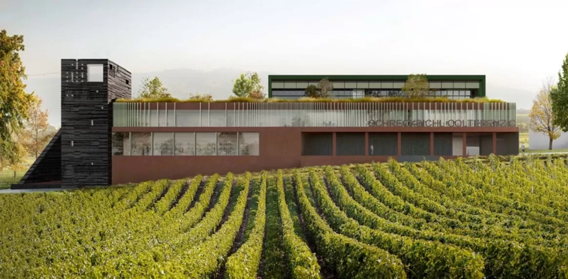 A Masterclass on Sauvignon at the Colterenzio Winery in Alto Adige