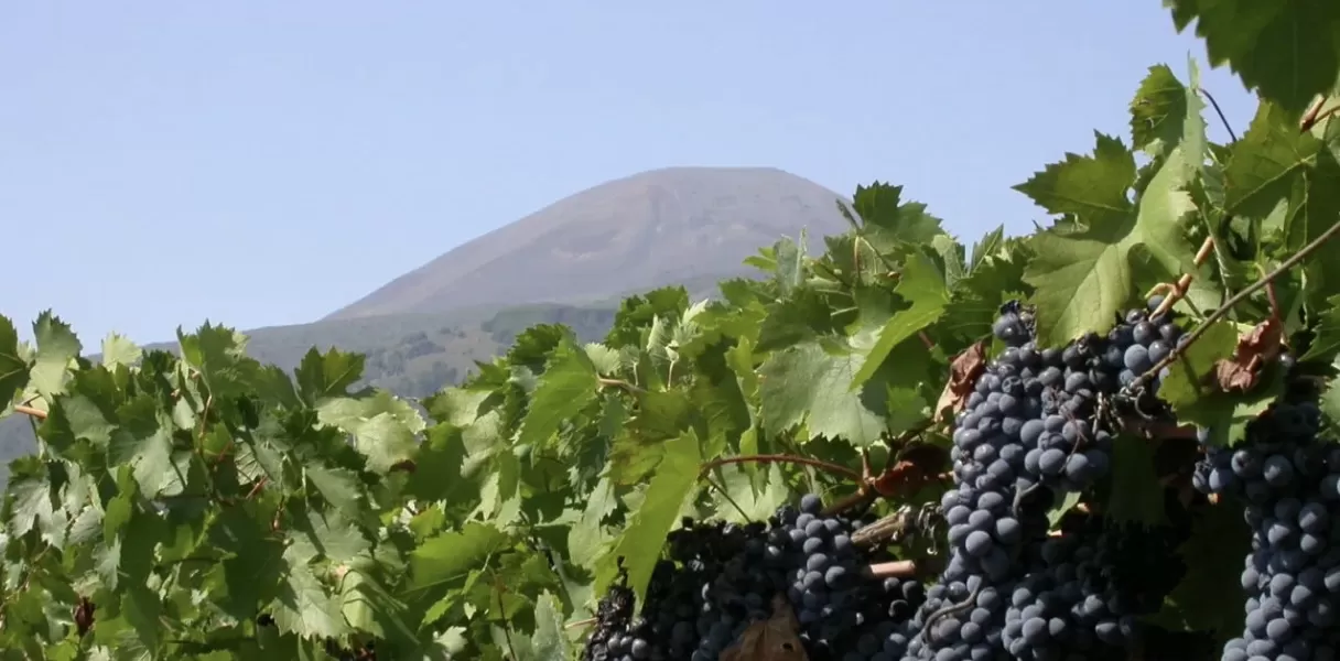 Campania Stories 2025, alle falde de Vesuvio
