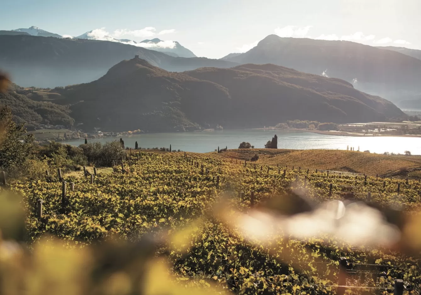 Lago di Caldaro vuole definire la sua identità