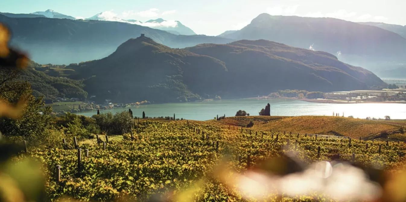 La Doc Lago di Caldaro vuole definire la sua identità