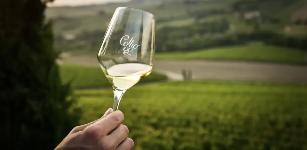 Collio: si riparte dal friulano. La nostra degustazione