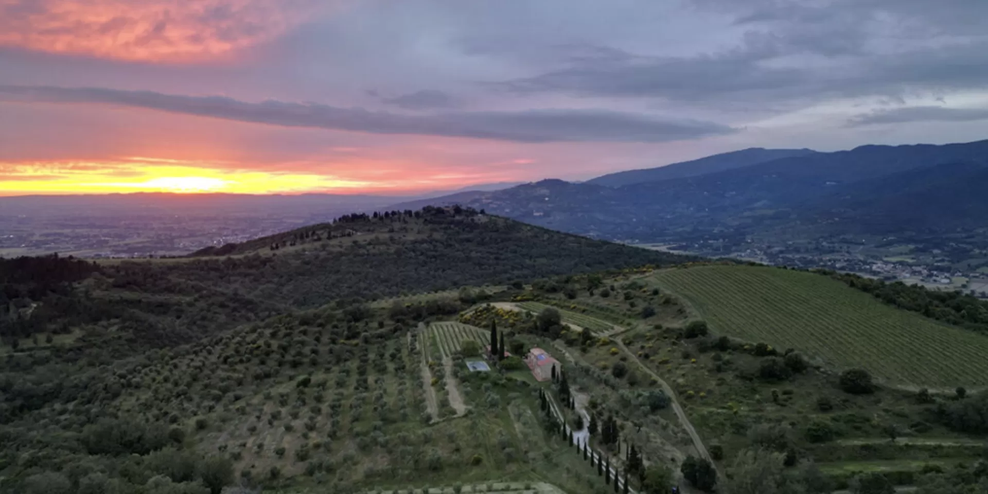 Cortona e Syrah: la simbiosi vitigno-terroir raccontata da tre produttori della Doc