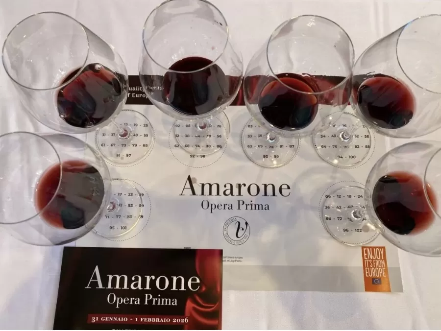Amarone, ecco l’annata 2021 e le nostre cinque scelte