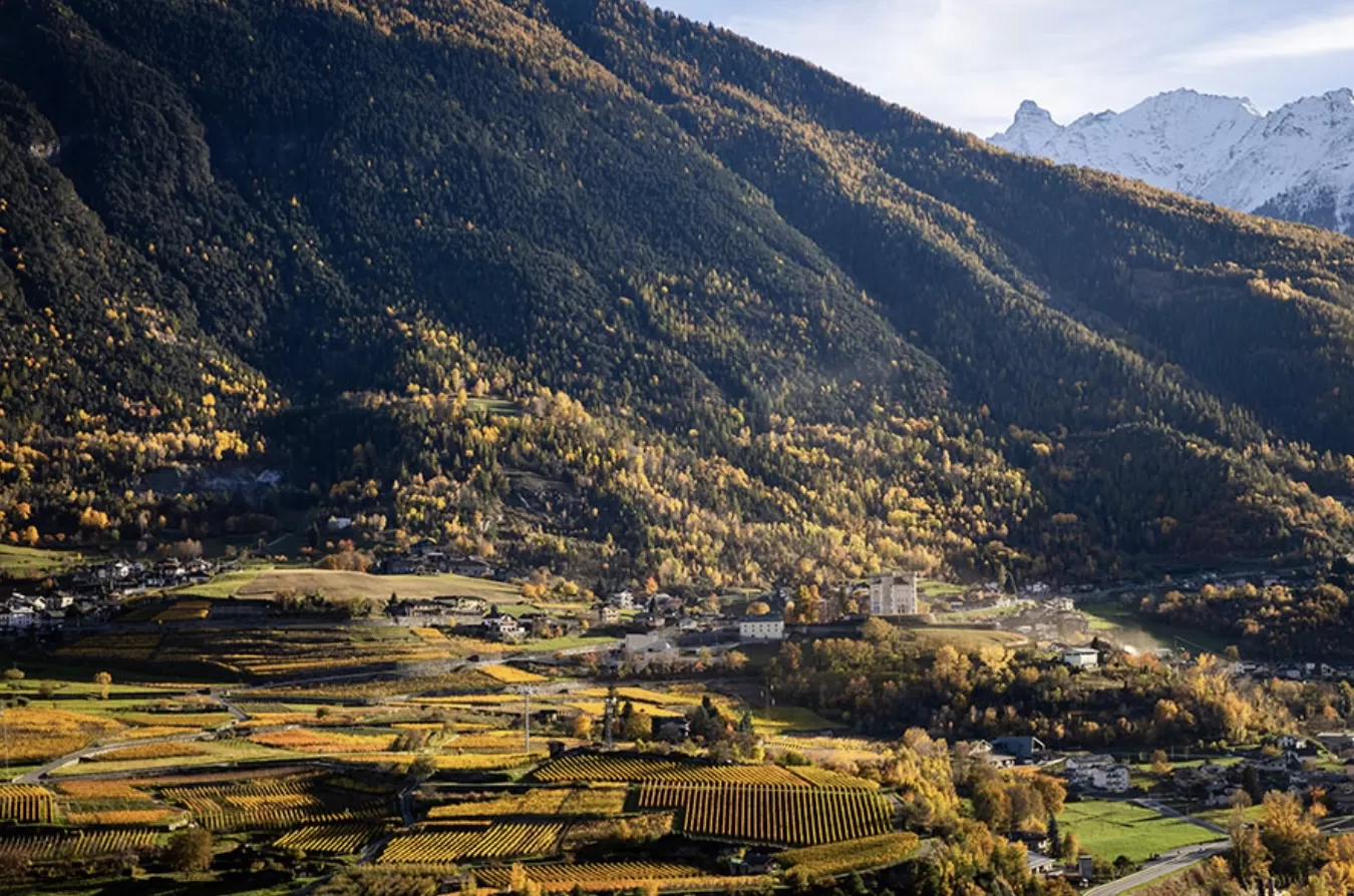 Doc Valle d’Aosta, arrivano Spumante, Riserva e Claret
