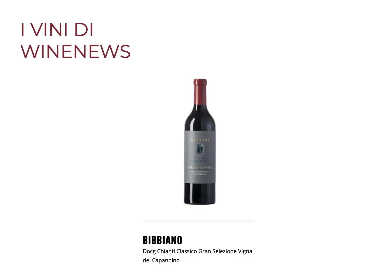 Bibbiano - Docg Chianti Classico Gran Selezione Vigna del Capannino