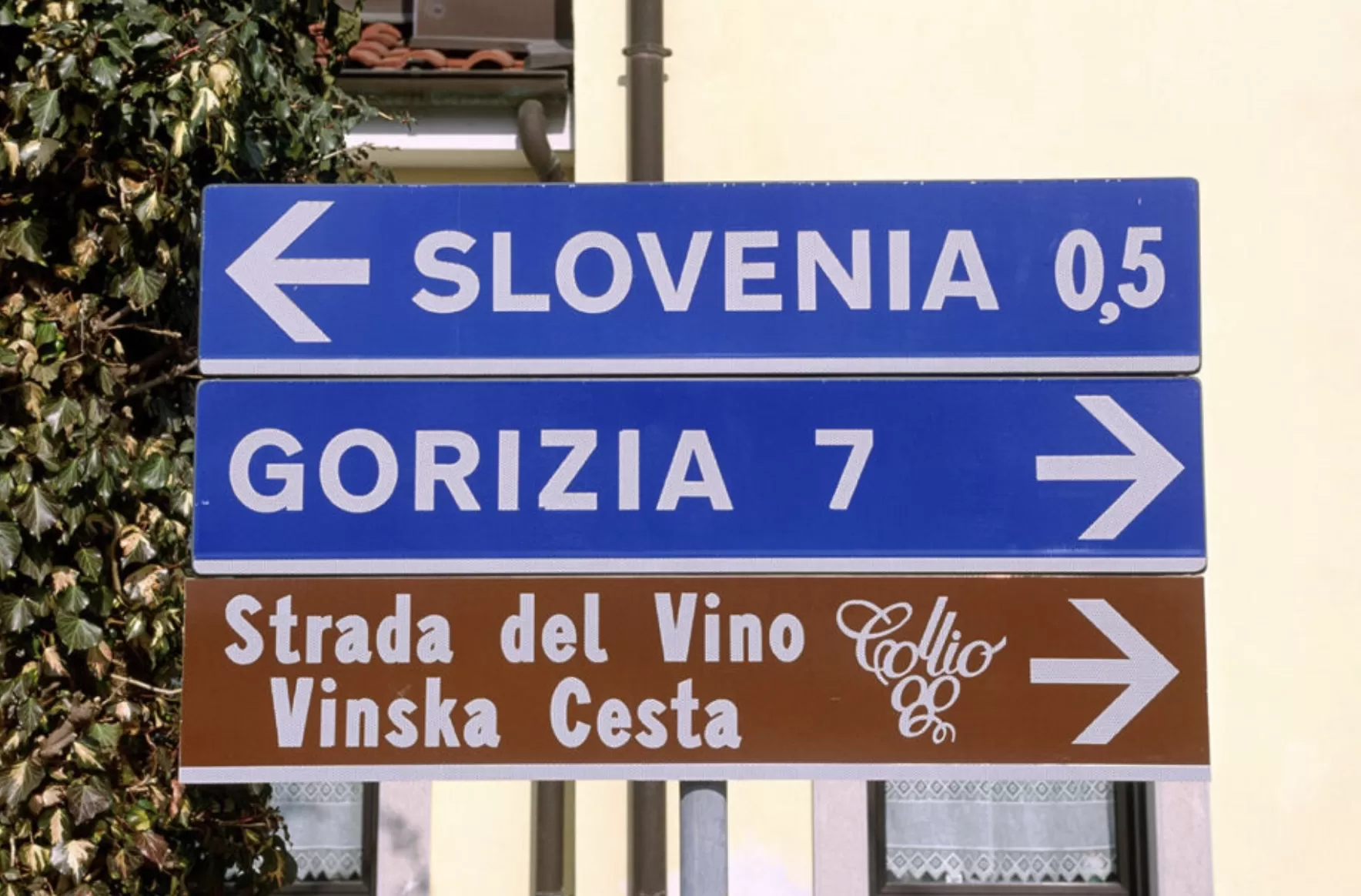 Why Collio is poised to regain its place among Italy’s best white wines