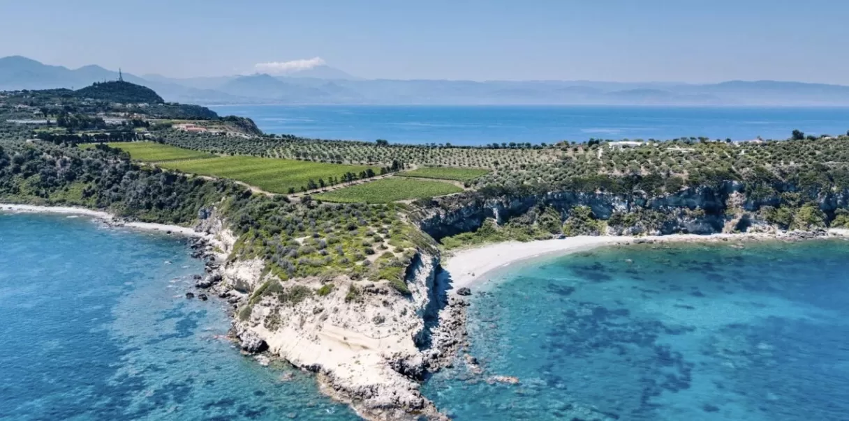 Sicilia, vendemmia 2025 all’insegna dell’armonia nel vigneto bio più grande d’Italia