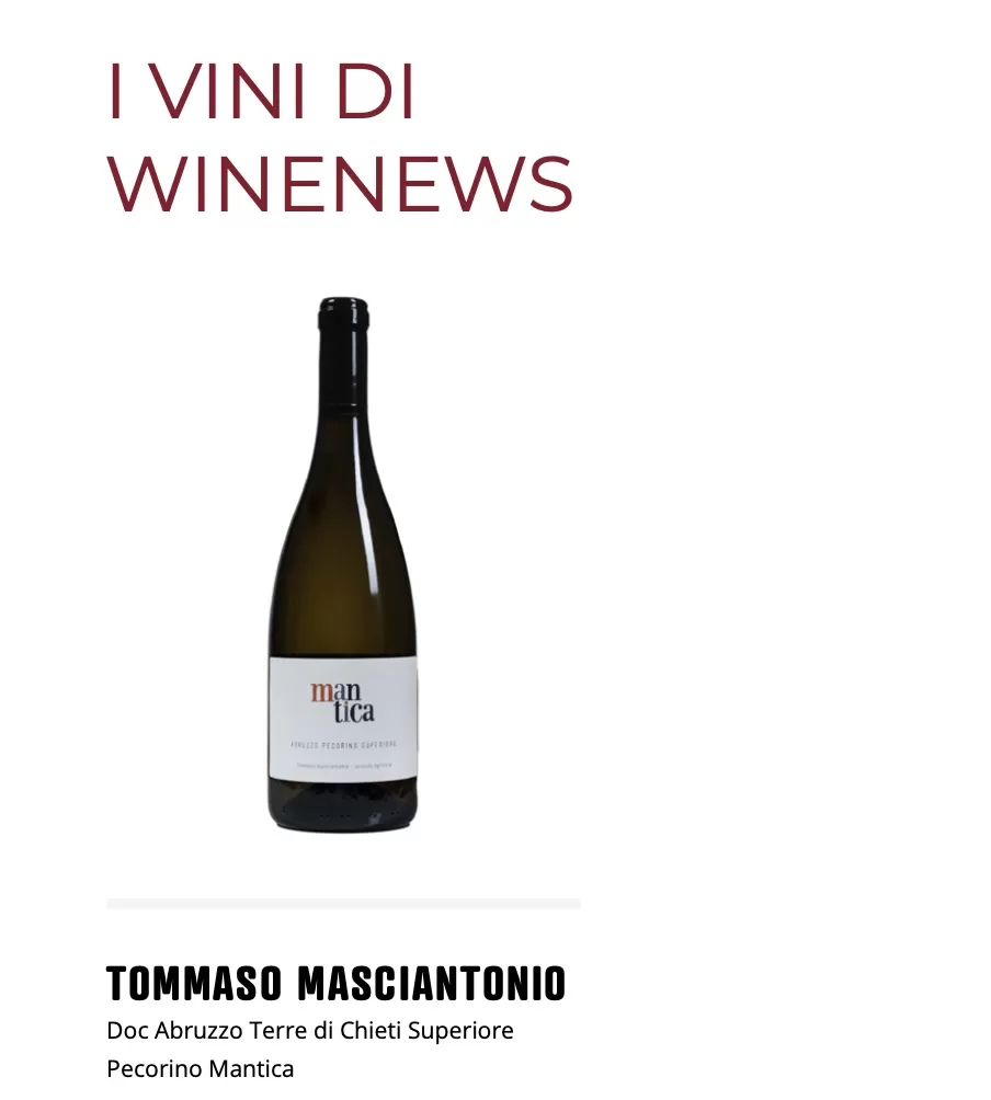Tommaso Masciantonio - Doc Abruzzo Terre di Chieti Superiore Pecorino Mantica