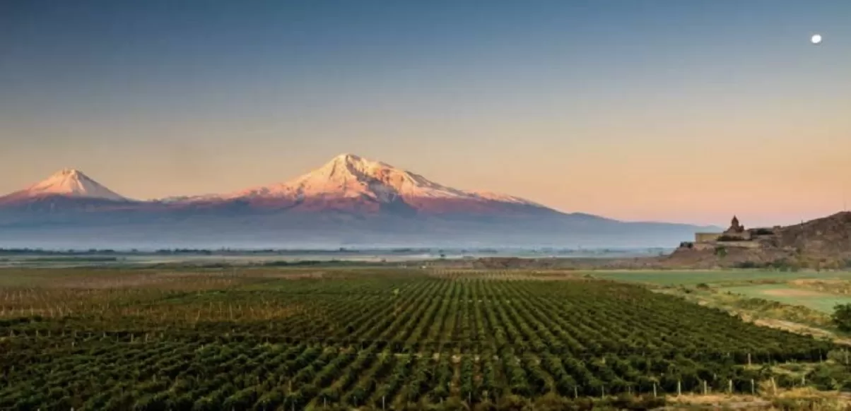 Armenia, la rinascita della culla del vino
