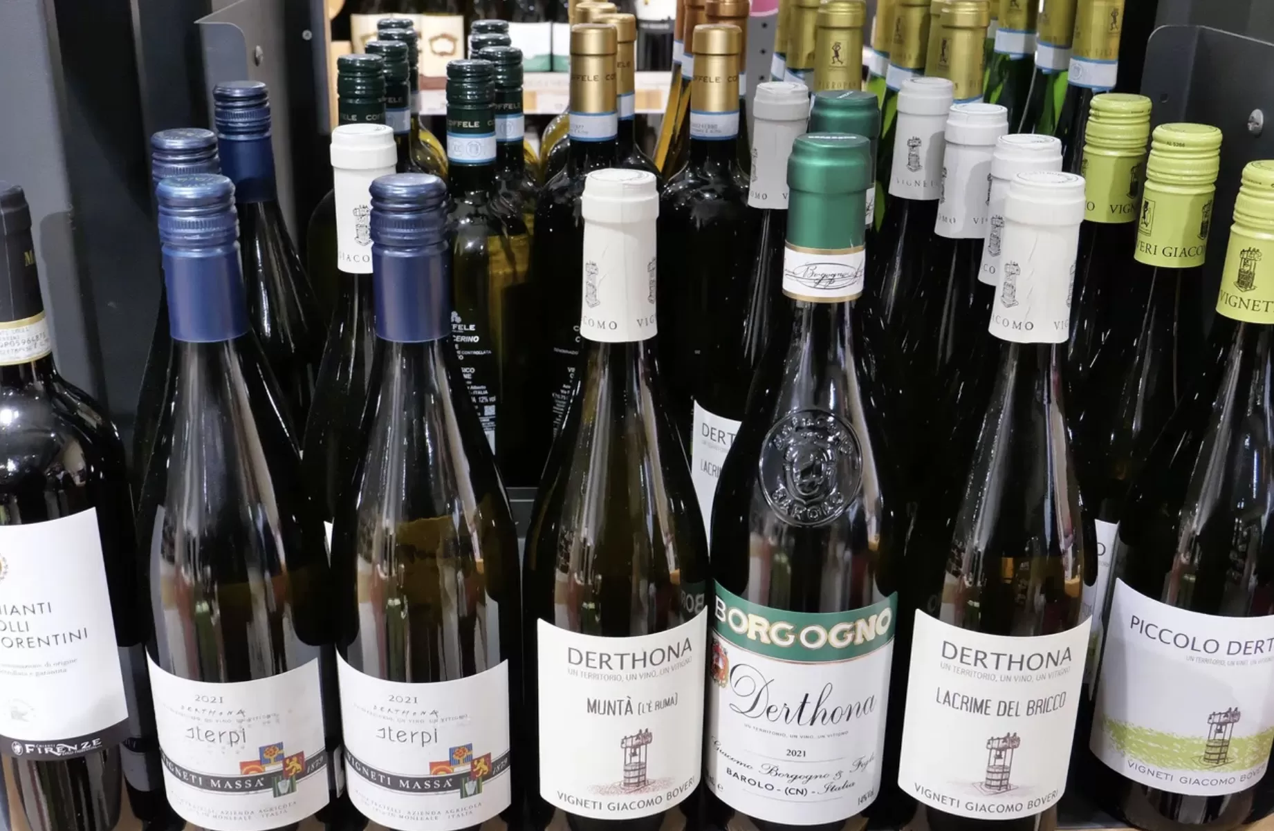 The story of Timorasso, the Piedmont grape brought back from near-extinction