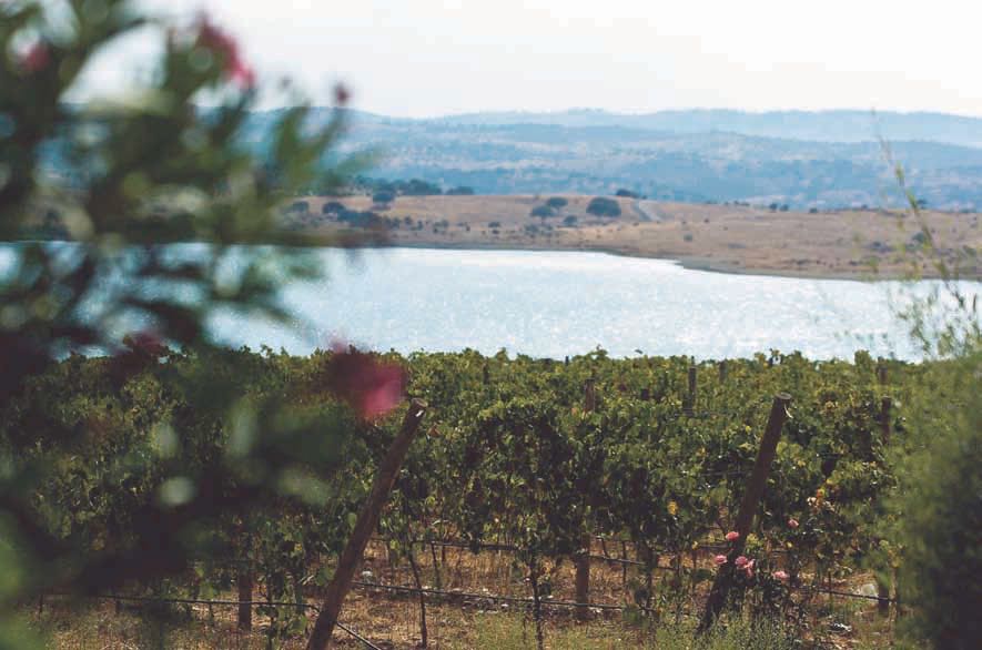 ALENTEJO, LA TERRA OLTRE IL FIUME