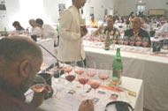 Puglia, terra dal più alto potenziale di vini rossi