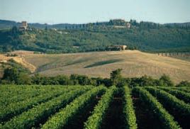 CASALE POZZUOLO E IL MONTECUCCO RISERVA DELLA PORTICCIA 2009