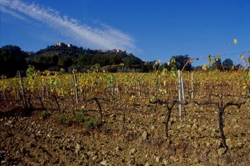 BRUNELLO DI MONTALCINO, CINQUANTANNI DI DENOMINAZIONE