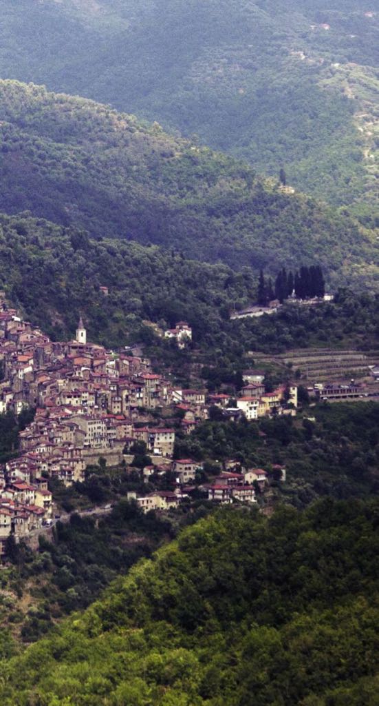 ROSSESE DI DOLCEACQUA