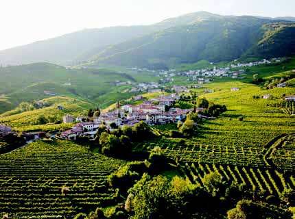 CONEGLIANO VALDOBBIADENE, COLLINE LUSSUREGGIANTI