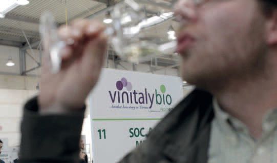 VIVIT E VINITALY